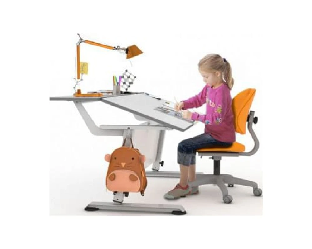 Парта Эрудит