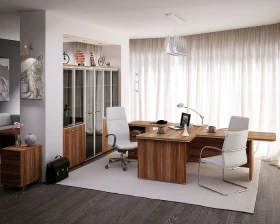 Кабинет руководителя Фокус Директор images