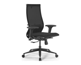 Кресло ErgoLife SynchroSit 10 B2-189D M25.B11.G19.W02 (подл. 1) Сетка, Черный images