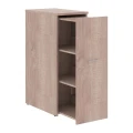 Дуб сонома
