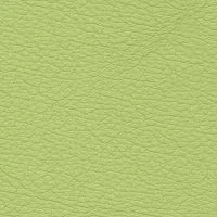 CONSUL-Phistachio-2030-G70Y